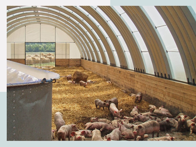 Строительство свинарников в Черкесске