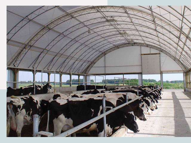 Тентовые коровники в Черкесске